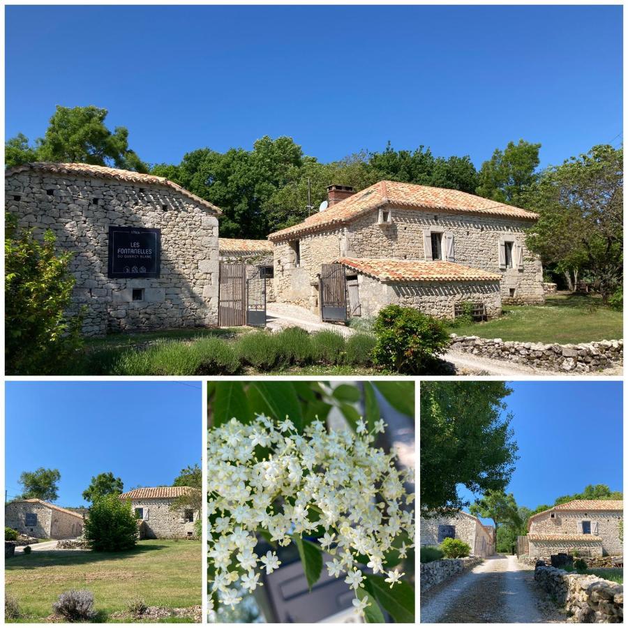 Vila Les Fontanelles Du Quercy Blanc Montcuq Exteriér fotografie