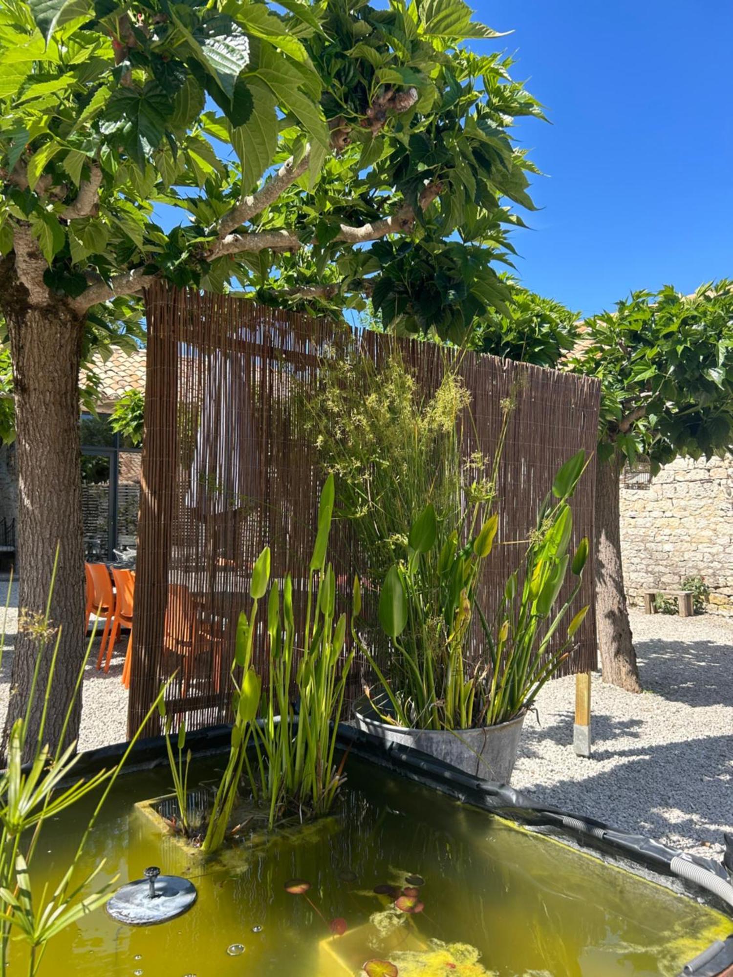 Vila Les Fontanelles Du Quercy Blanc Montcuq Exteriér fotografie